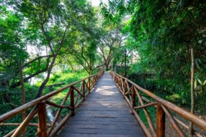 Best Resort in Palghar